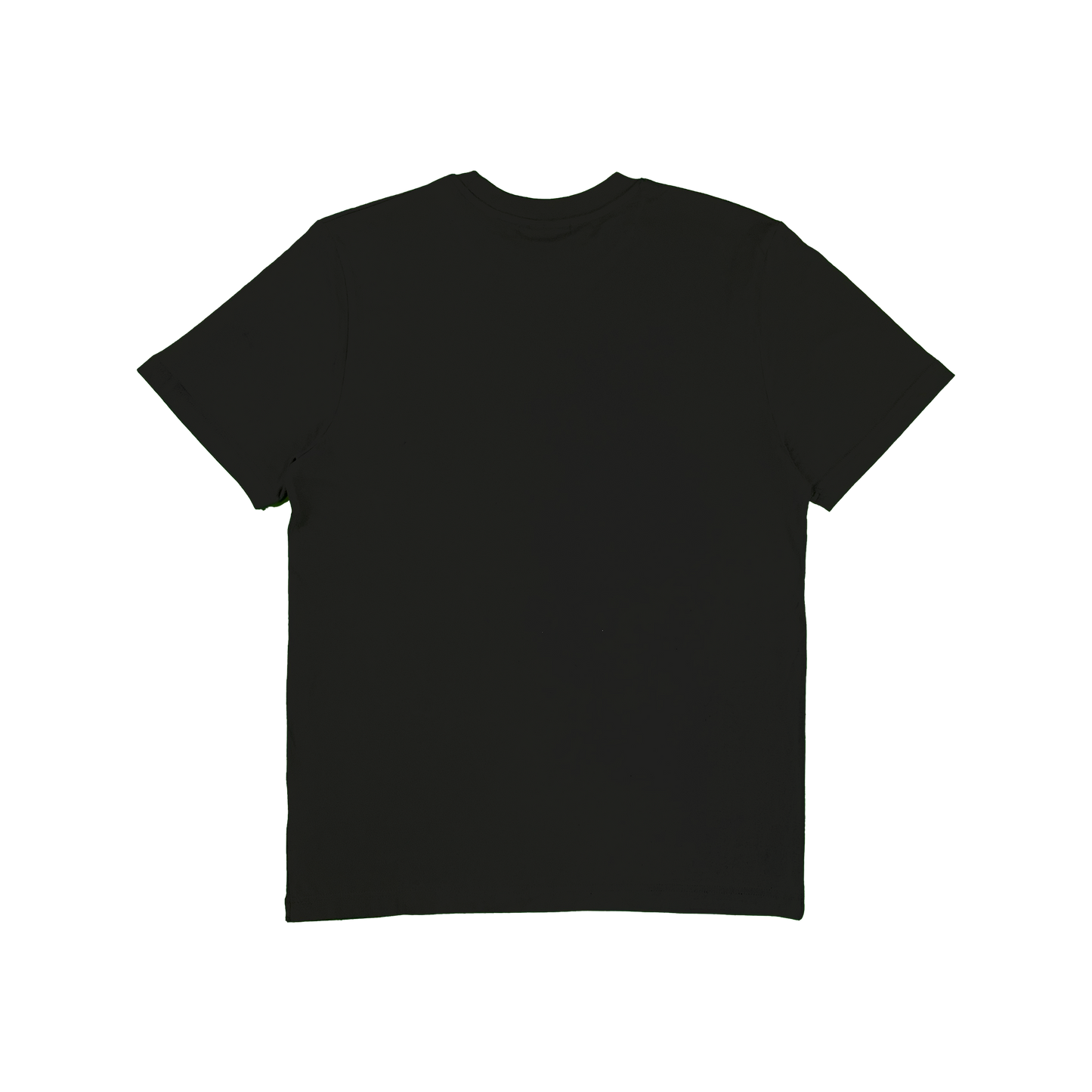 REGULAR FIT "TEXT LOGO" MINT-TEE.
