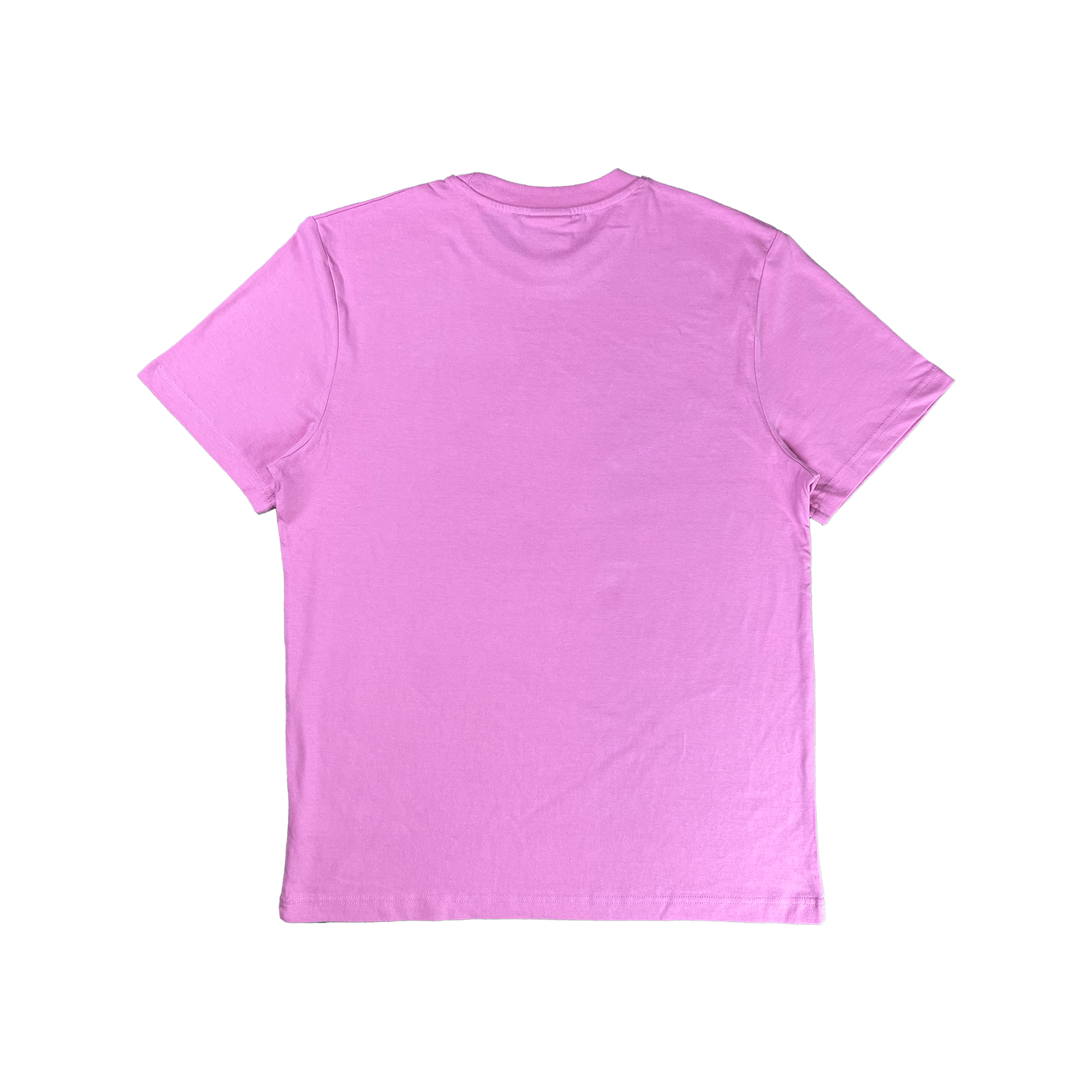 REGULAR FIT "TEXT LOGO" MINT-TEE.